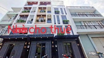 Nhà cho thuê siêu phẩm fun nội thất. Hương lộ 2 . BTân