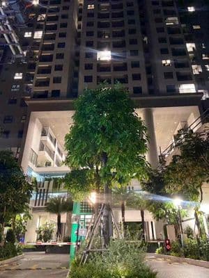 Cho thuê chung cư The Maison Phú Thọ 2PN-2WC Nội Thất Đầy Đủ