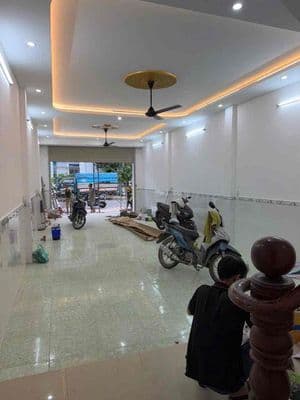 Cho thuê nhà nguyên căn kdc việt sing