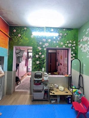 Bán chung cư 17m² khu TT Z179 Tứ Hiệp, Thanh Trì, Hà Nội