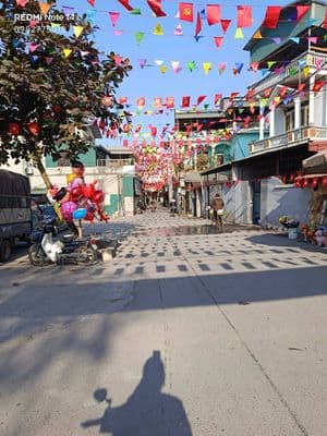 Bán đất Đại Áng, Thanh Trì, 46m2, ngõ ô tô