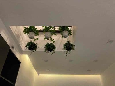 Hàng hiếm nhà HT3 đường nhựa 8m có vỉa hè.