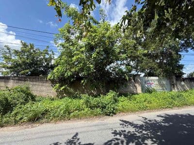 Bán 1500m2 đất Mặt tiền KCN Giao Long