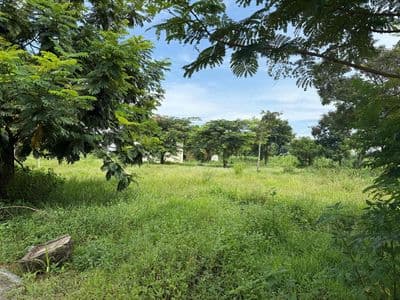 Đất Đẹp Có Sổ- Mặt Tiền 16m - View Công Viên