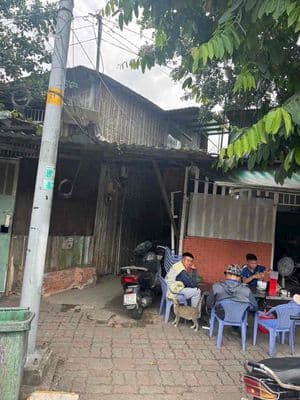 ket tiền chua benh