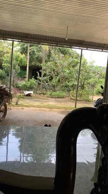 cần cho thue nha nguyen can