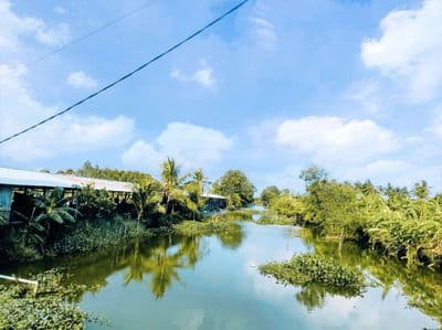 99m2 đất thổ cư 5 x 19m đường ô tô chỉ 360tr