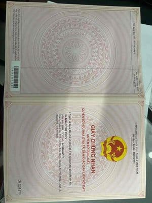 Nhà cấp 4 hẻm Nguyễn Thị Nhuân