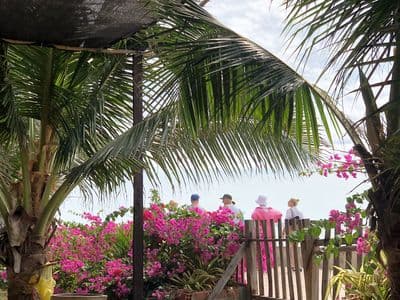 Cho Thuê Đất Mặt Biển Mũi Né