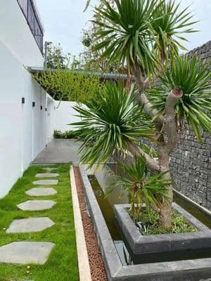 Cho thuê biệt thự 4PN full nội thất sân vườn rộng