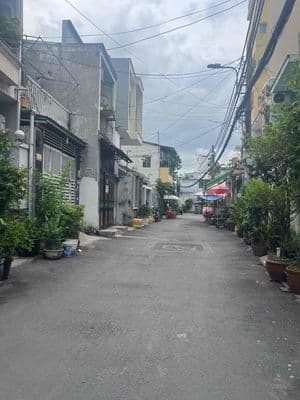 Hàng ngộp thơm bơ giá bèo nhèo