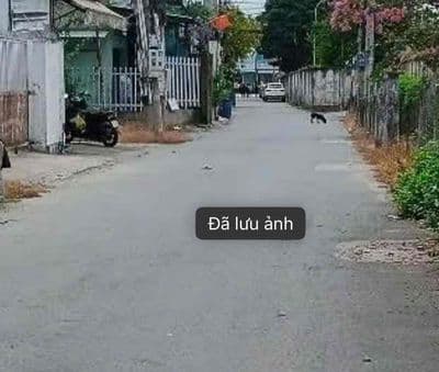 đất 5,5m x 46m . đường xe tải