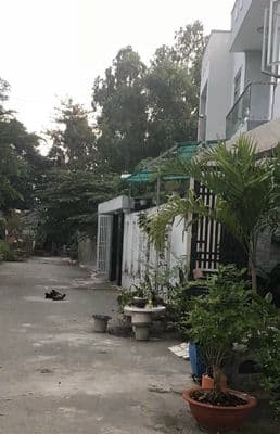 Cho thuê nhà 40m2 1 trệt 1L 3pn hẻm 3 gác Hiệp BìnhChánh Thủ Đức 7tr