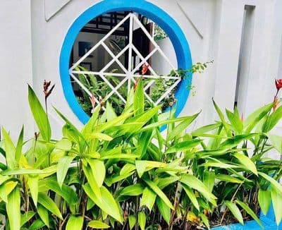 CHO THUÊ NHÀ C4 MT TẠ MỸ DUẬT Diện tích : 90m Nhà có 2pn,2wc,sân để
