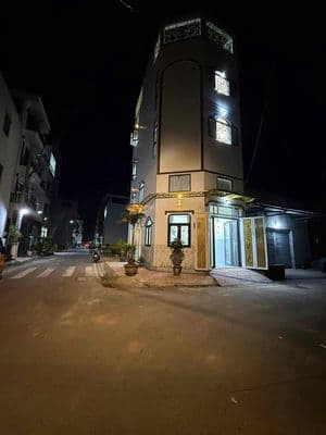 nhà lô góc tây lân chính chủ bán
