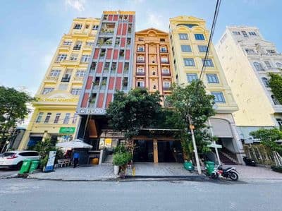 CHDV 8x21m Hầm 8 Tầng Đường cao thị chính phường phú thuận Q7
