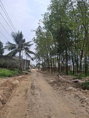 Bán đất thổ cư 5x66m tại Tân Hiệp, Tân Uyên, TPHCM