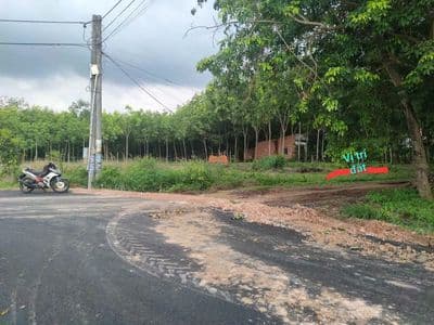 Bán đất Phường Long Nguyên, TP.HCM (Bàu Bàng Bình Dương cũ) hơn 600tr