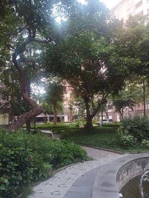 Bán chung cư AD-KĐT Đặng Xá, Thuận An, HN