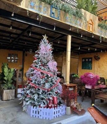 Cho Thuê Nhà Nguyên Căn Trần Văn Đang Q3 . 12x22m T Gác Giá 28tr/th