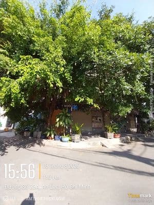 khu Tên Lửa, góc 2MT đường Số 23A, DT 4 x 19m, 3.5 tấm