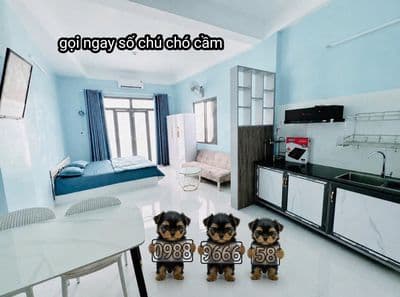 Căn hộ mới thang bộ l4