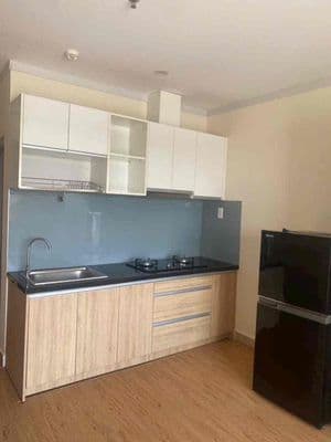 *** 1 căn 4,5tr đầy đủ nội thất căn hộ mới tại Phú Lợi Thủ Dầu 1