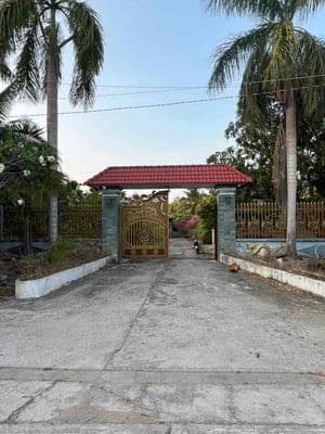 Bán nhà vườn - tân ngãi vĩnh long 2428m2 ( full thổ cư )