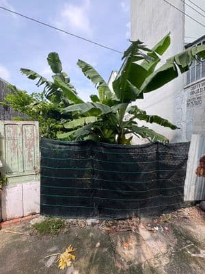 Đất hẻm ô tô TX24 - 88m2 full thổ cư, qua Gò Vấp chỉ 5 phút
