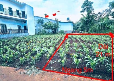 Bán đất nền kdc buôn ju (đạt lý) – p. tân an, bmt