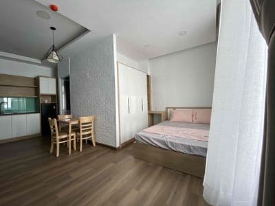 Căn hộ cho thuê 1pn ban công gần cv tao đàn cv lê văn tám mới 100%