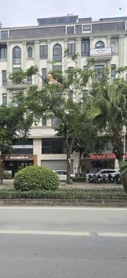 Cho thuê biệt thự 91m2, gần 700m2 sàn tại TT2-3 Khu C Him Lam Vạn Phúc