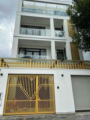 Cho thuê nhà mt lê trung nghĩa_q.tb_8x20m_trệt 3 lầu gara ô tô.
