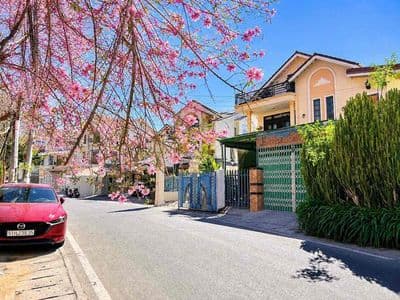 Hạ 10 Tỷ Nhà 2 Mặt Tiền Yersin 400M - Cách Hồ Xuân Hương 500M