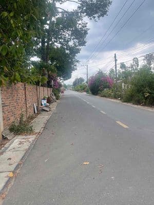 Đất Khu Dân Cư bàn cờ Tân Hiệp - Long Thành