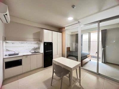 Khai Trương Căn Hộ Dịch Vụ Mới 100%,Ngay Cầu Bason,Thảo Cầm Viên,39M2