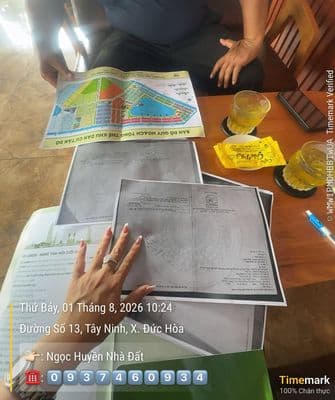 Cập nhật giá T8/2026 Chính chủ ký gửi