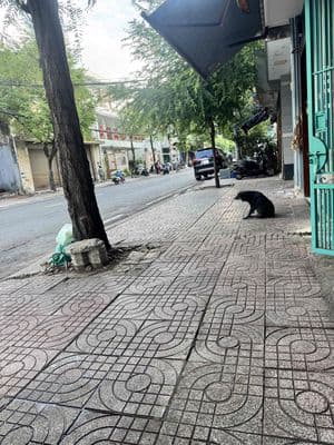 Bán nhà mặt tiền đường Tùng Thiện Vương Quận 8 giáp Quận 5, 6, 77m2.