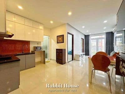 Căn hộ 70m2 2pn full nội thất Nguyễn Bỉnh Khiêm - Q1