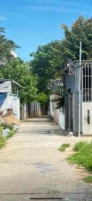 Đất Tứ Ngân Điện Ngọc