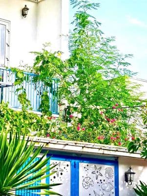 Cho thuê nhà 2 tầng đường: bàu mạc - đủ nội thất - kề biển
