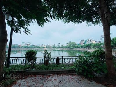 Nhà 7 tầng thang máy view hồ Linh Quang, 41m2, 16.5 tỷ