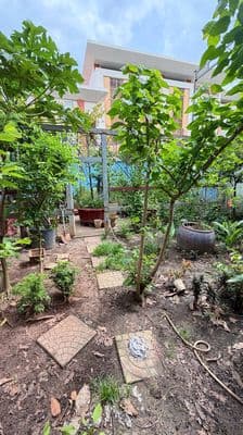 Chính Chủ bán gấp lô đất 98m2 Đoàn Nguyễn Tuấn
