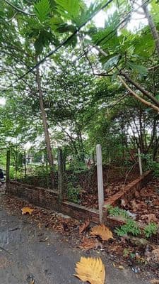Bán đất 5x20 Bình Nhâm, Thuận An, TP.HCM
