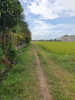 Bán đất thổ cư sổ riêng