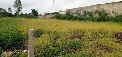 Đất đẹp chính chủ bán siêu phẩm đất tại liên đầm, di linh, lâm đồng