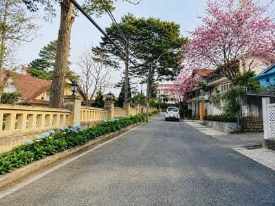 Bán Villa đường ô tô lớn 6M - Khu Thơ Nhất Bậc Đà Lạt Cô Giang