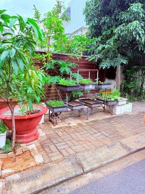 Bán đất đường Tùng Lâm 5 Hoà Xuân Đà Nẵng giá rẻ