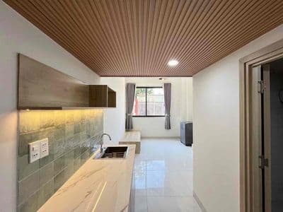 Duplex mới 100% ngay đầm sen - lạc long quân