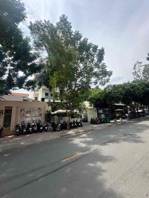 Cho thuê mt 79 xuân thuỷ q2 dt 10x30m nh 14m
